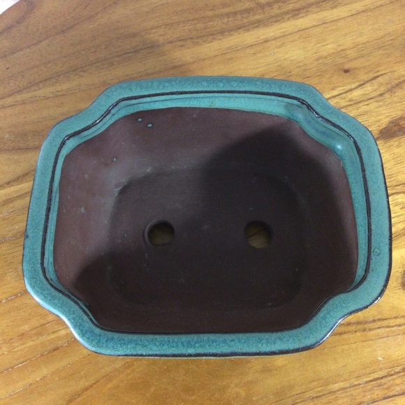 Glazed Hand Painted Teal Bonsai Planter - Picture 5 of 6